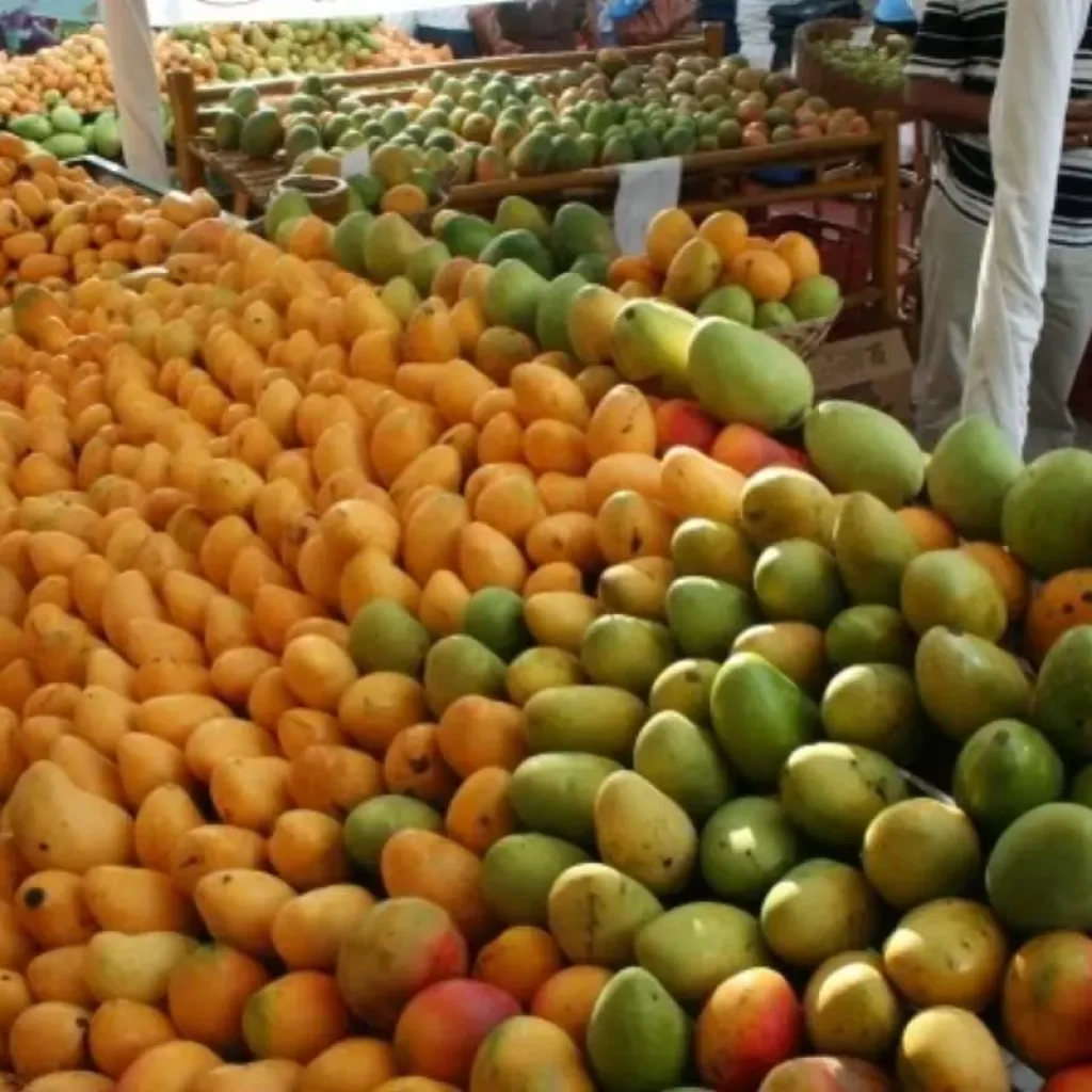 Baní ya es la Capital del Mango