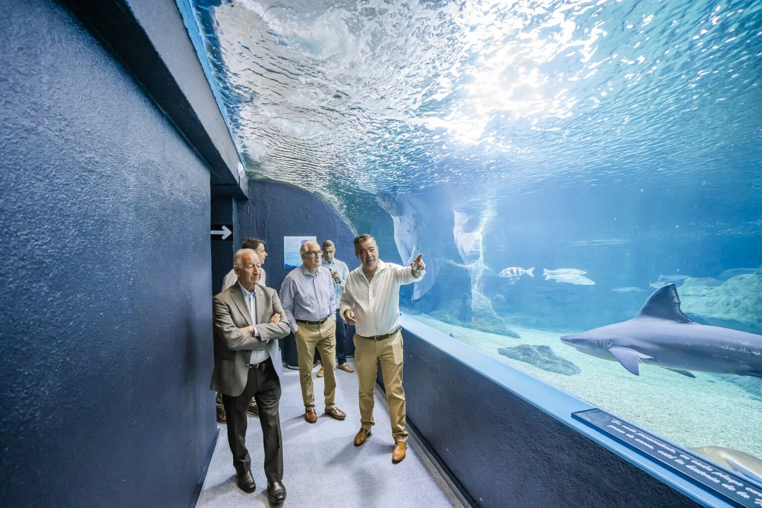 Conservación Marina Acuario Nacional y Aquarium Costa de Almería Firman Alianza Histórica para Proteger Nuestros Océanos