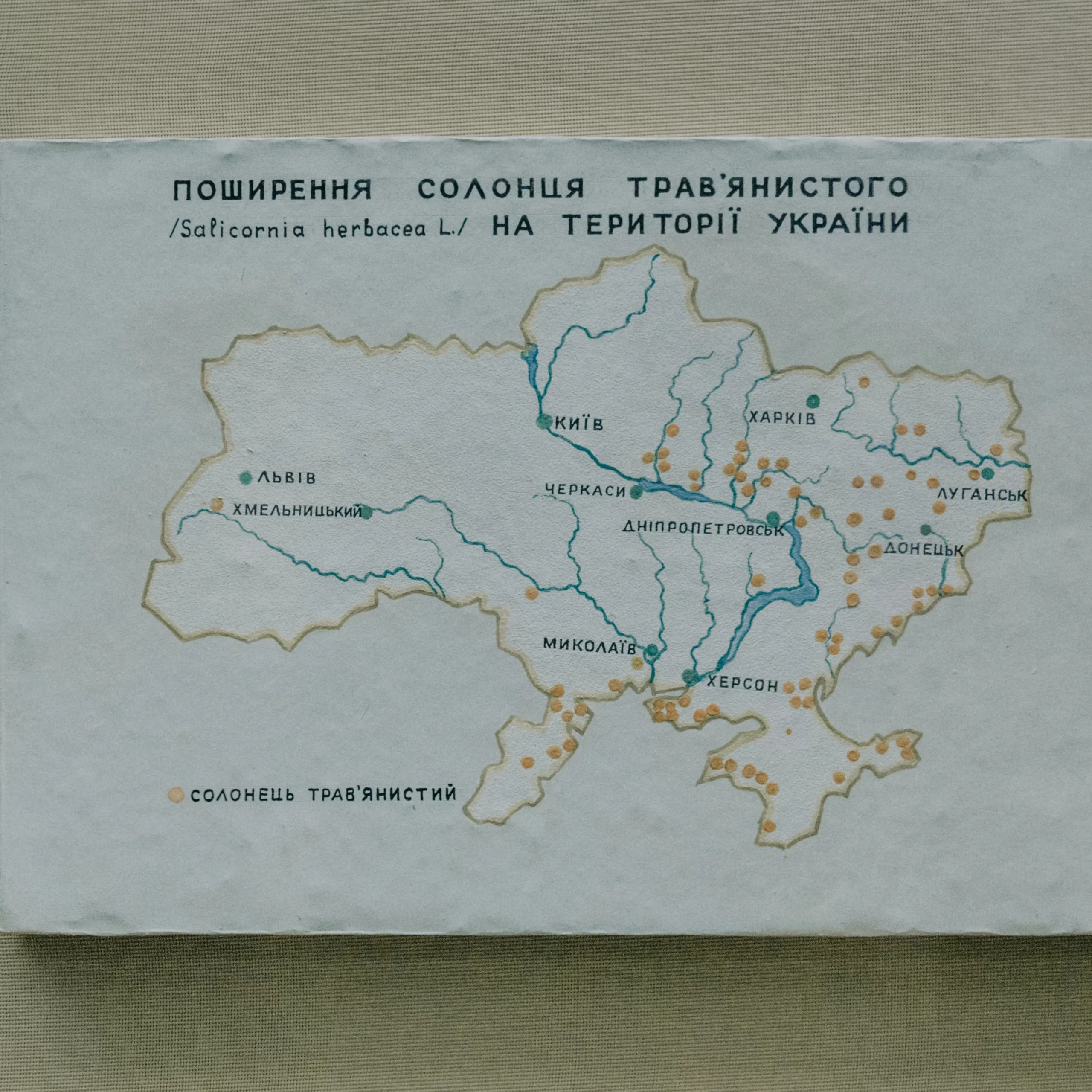 Uzbekistan ciudades oro cuentos árabes: Descubre Samarcanda y Bujará